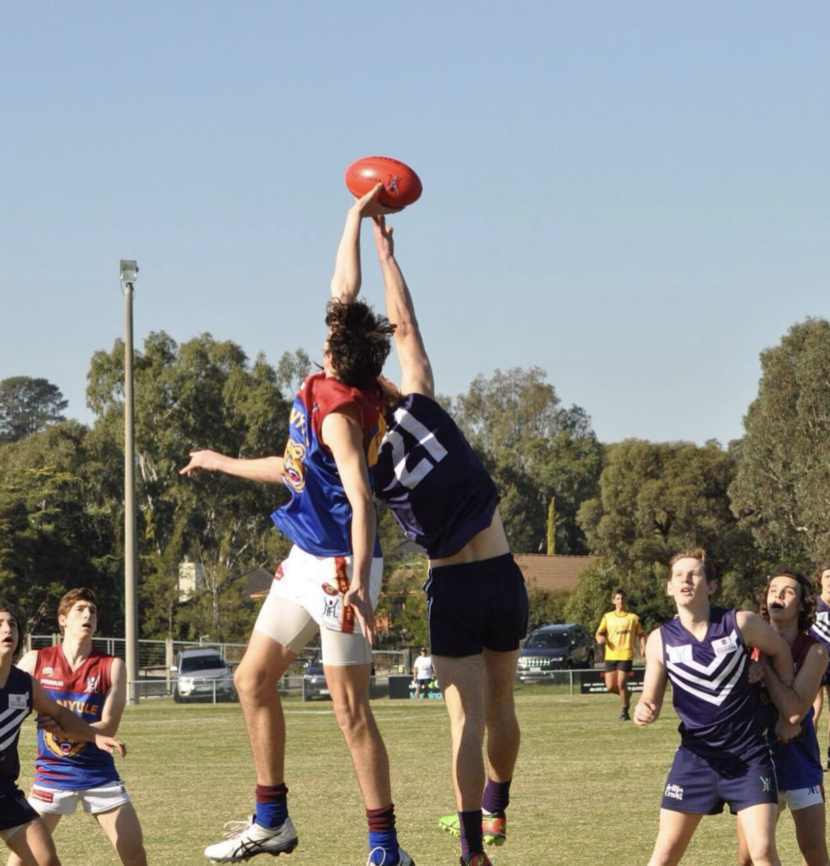 Pat contesting a ruck tap — fully extended for the red Sherrin against a purple guernsey